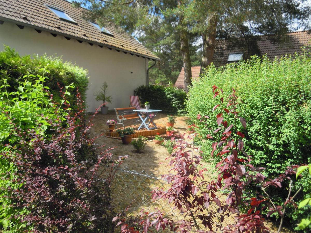 Lenzer Parkblick Am Plauer See Esterno foto