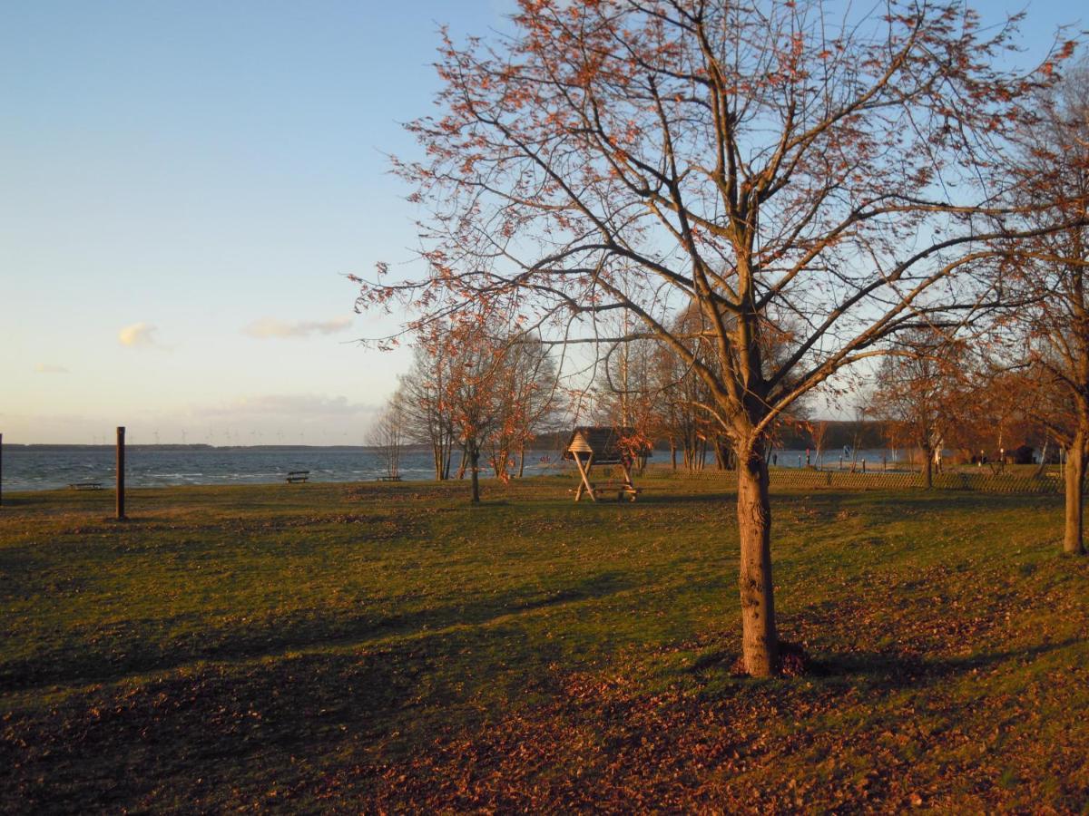 Lenzer Parkblick Am Plauer See Esterno foto