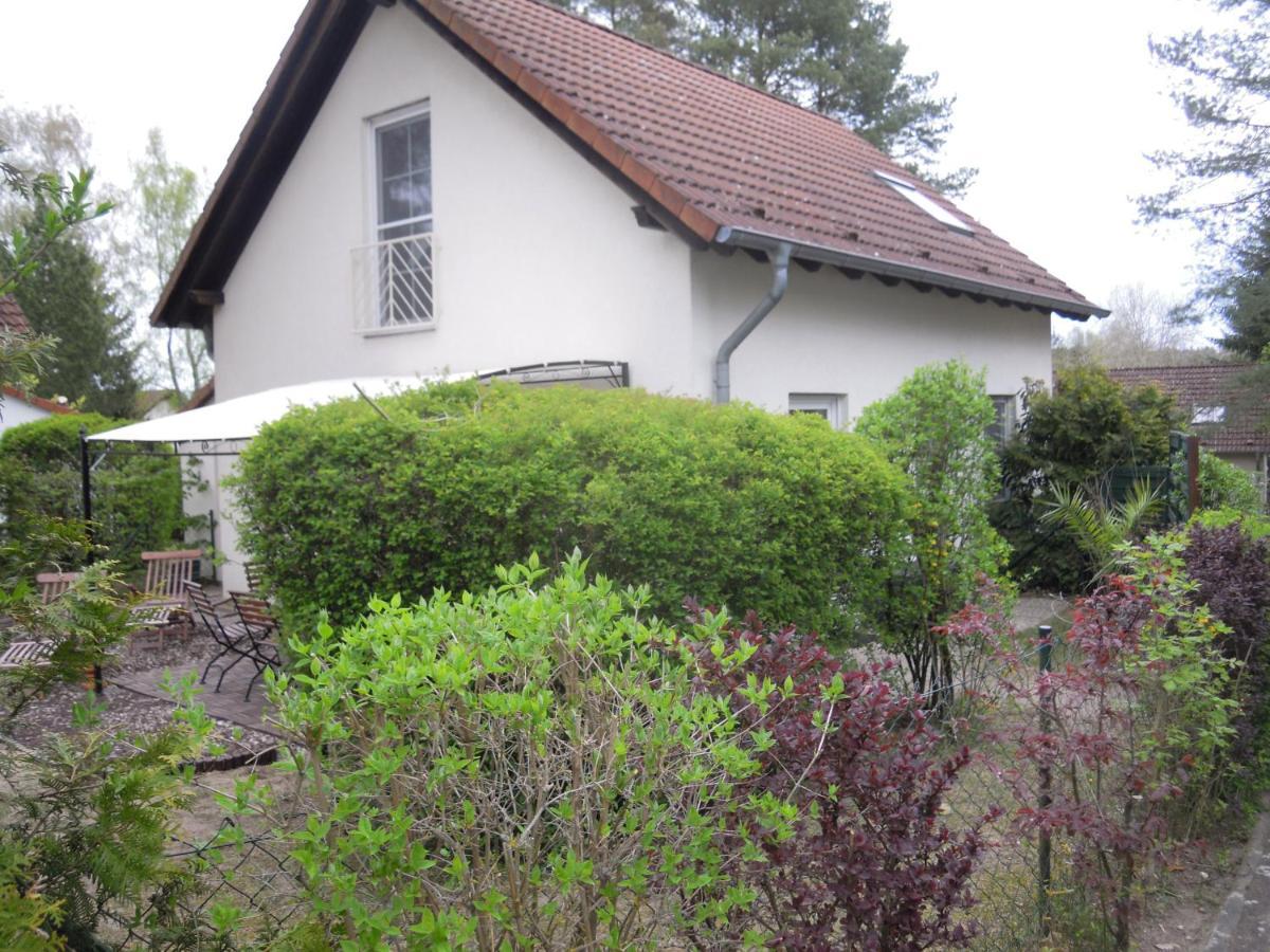 Lenzer Parkblick Am Plauer See Esterno foto